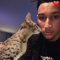 seba (@stilllikeben) 's Twitter Profile