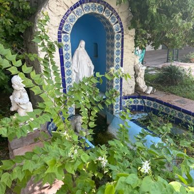 ladyofsouthtx's profile picture. Catholic. Woman. Tejana. Life-long learner. #AMDG ¡Viva Cristo Rey!