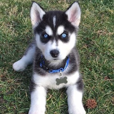 userio5489's profile picture. 