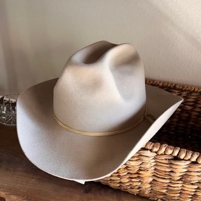 MurphyDmurphy's profile picture. Phoenician ,mostly.