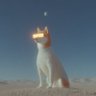 hmmm0100's profile picture. I shitpost with videos.