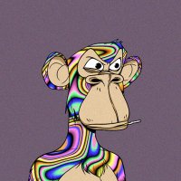 caminiti tassone (@caminitit8907) 's Twitter Profile