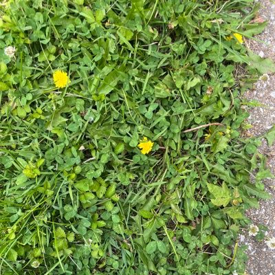 ttg583's profile picture. 