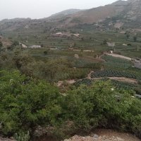 هو الله (@hwllh266765) 's Twitter Profile