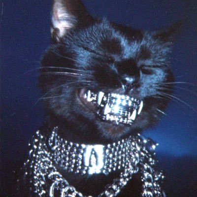 ♔ Eternal ♚さんのプロフィール画像