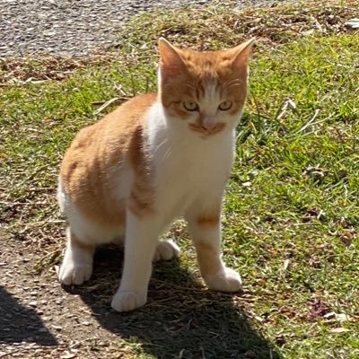 hsknhkha's profile picture. ぐんま、🗼