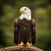 karlay Gannon (@karlaygannon) Twitter profile photo karlay Gannon (@karlaygannon) Twitter profile photo