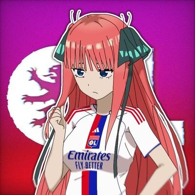 Hincha del club mas grande de Francia. @OL