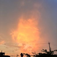 バカ正直に言って嫌われる垢 (@ama_gestalt) Twitter profile photo