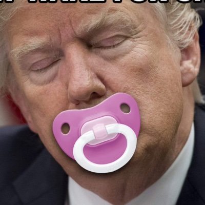 dog_your58544's profile picture. Vote blue. Had a Twitter acct over 10 years. Opened new account. NO magots. NO porn