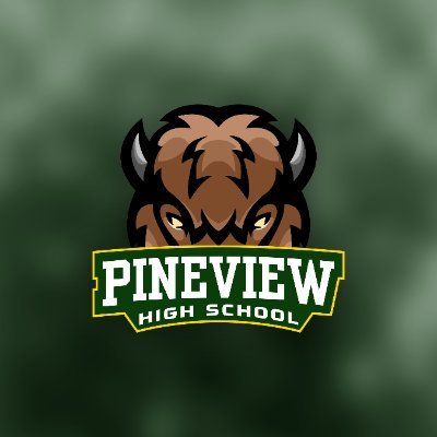 PineviewBison's profile picture. An upcoming Roblox education experience rooted in boldness, integrity, strength, ownership, and nobility.