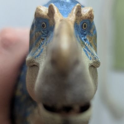 8J0xvJzdpZ22xVd's profile picture. 恐竜好きです。特に竜脚類とアルバートサウルスが好き。