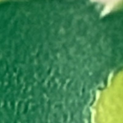 スギもんさんのプロフィール画像