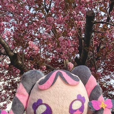 KABO_moh_'s profile picture. 成人済み/ 巻き込み、無言リプ削除等気にしません!!/求: あんスタ 敬人・燐音・維吹、プリキュア ビート・メロロン・トゥインクル、忍たま 利吉・滝夜叉丸 / プロカにその他詳細記載しております(既読印なし🙅🏻‍♀️)/雑多垢もありますので是非仲良くしてください🎶