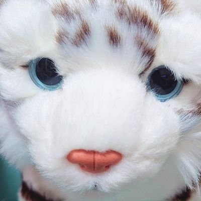 20↑┇9️⃣🐉⏩🕛左・🧸🏍️┇🐳⏩天潤天┇リバ逆(排出はしません多分)┇雑食 自我と妄言を垂れ流すだけ 急にパロの話をします 成人、お仲間とわからない方はB解