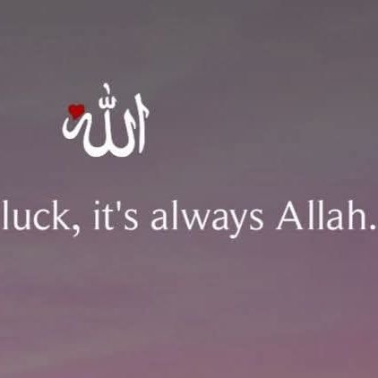 sugarbabyyyyyy0's profile picture. Psycho.