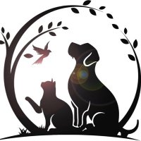 Vintage Sincap (@vintagesincap) 's Twitter Profile