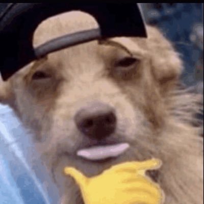 iGoonToFollows's profile picture. If I follow you, I’m gooning to you🔞