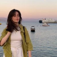 nour (@probablynotnour) 's Twitter Profile