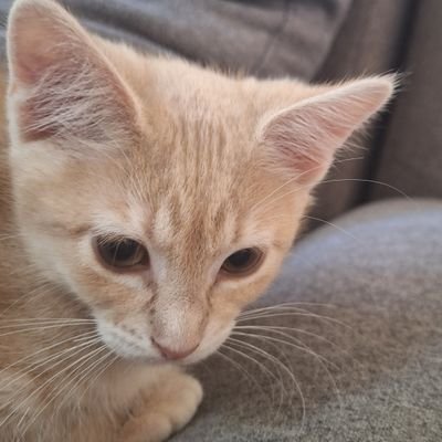 Miles privさんのプロフィール画像