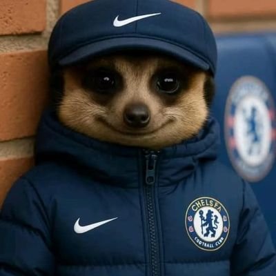 bensil2002's profile picture. NASCREATION