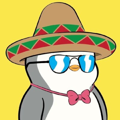 zdrfo42411463's profile picture. 