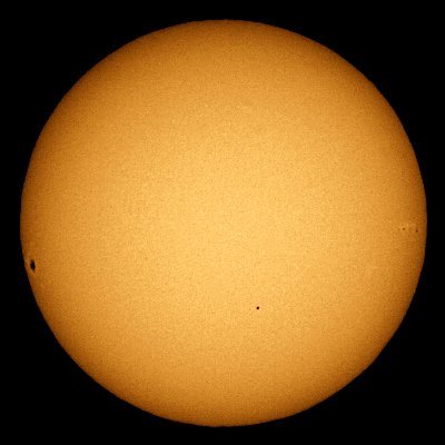ovomexidos's profile picture. estamos aqui
