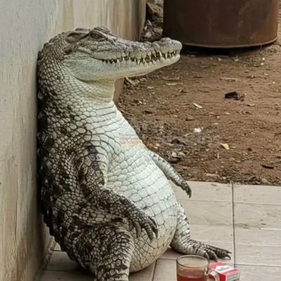 415_toro77's profile picture. 