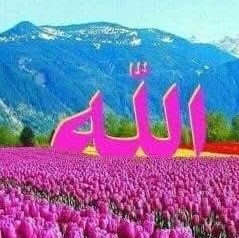 اللهم صلى وسلم وبارك على سيدنا محمد وعلى آله وصحبه وسلم Hayaty2025@