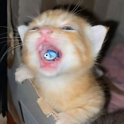 Thanhngannnn0's profile picture. halooo👋👋👋