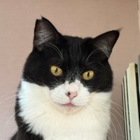 週末angler2 (@angler_diary) Twitter profile photo