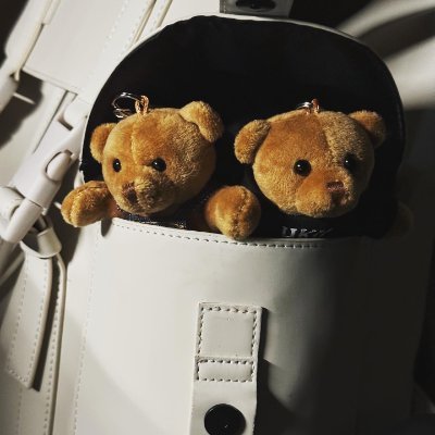 Tommm1721's profile picture. statistics student