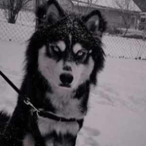 1Wafflesss's profile picture. Yo! (Waffles), I create sprite animations as a hobby, gaming, and LOVE MUSIC! Don't be afraid to DM me!! I swear I'm coo to talk to. Disc: Wafflesss. 🐝