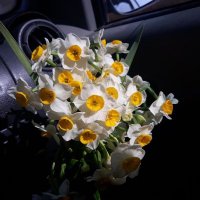 شب نگار (@ngarshb54547) 's Twitter Profile