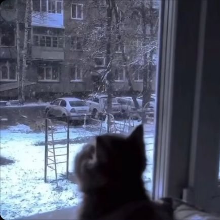 vT1yABzhtN6464's profile picture. 年轻气盛