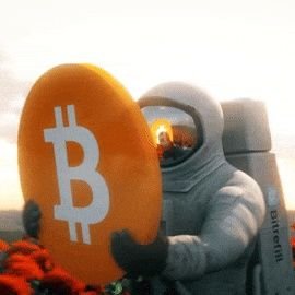 Adarshxhd's profile picture. 