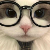 infpvtr (@infpvtr) 's Twitter Profile