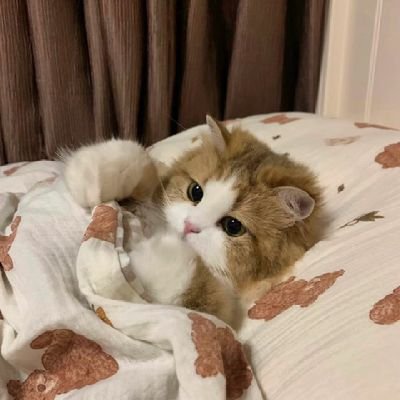 aksadankala's profile picture. Sudah menjalani masa skripsi