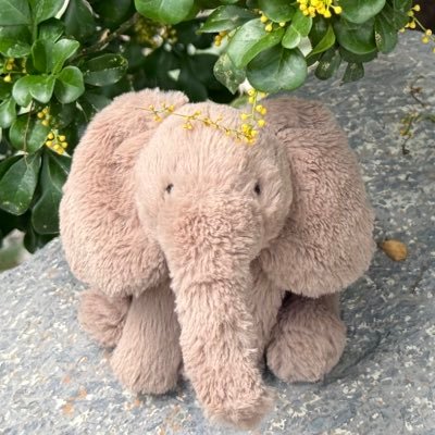 RimaKakoi's profile picture. 