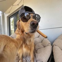 JustHere_0 (@jay_nothing6) 's Twitter Profile