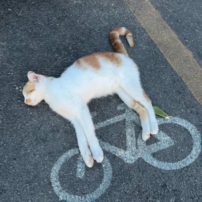 ZarubinDenys's profile picture. 