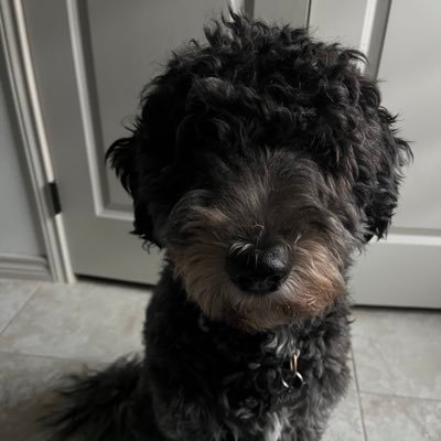 omus100x's profile picture. 