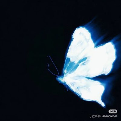 Talitaviro211's profile picture. 🚪299 视频总数100➕ 只接受口令红包