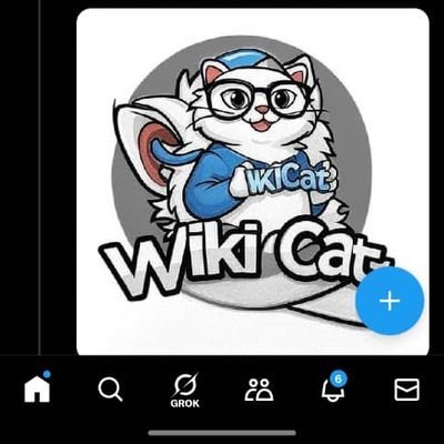Don't STOP until you achieve your DREAMS... $WKC, $OCICAT, $PHT SMC DAO Believer & @peniremit