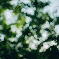 波窓 (@namimado_diary) 's Twitter Profile