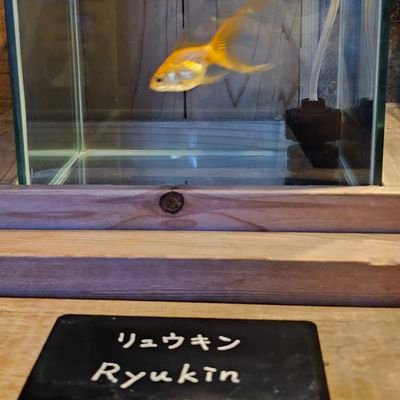 くまさんず
りーさん
のサブ垢？みたいなものです。
ほとんど趣味しか呟かないΨ(・ω・ )Ψ