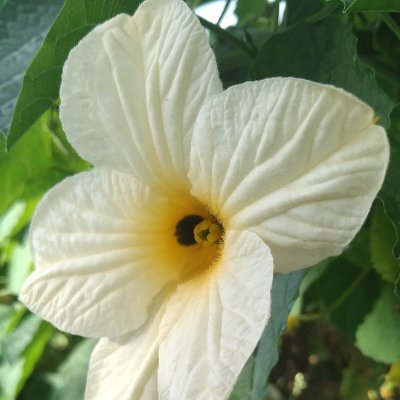 hafijur_rhaman's profile picture. পরে দিমু