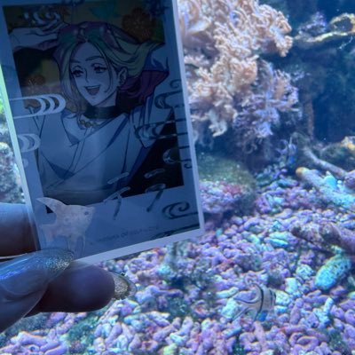 高橋さんのプロフィール画像