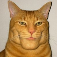 Kekerinho 🏳️‍🌈 (@kekerinho155823) 's Twitter Profile Photo