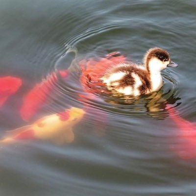 hgjwhj's profile picture. 